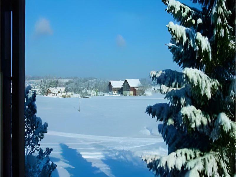 405CFE78D9973FE75921E508F317C013