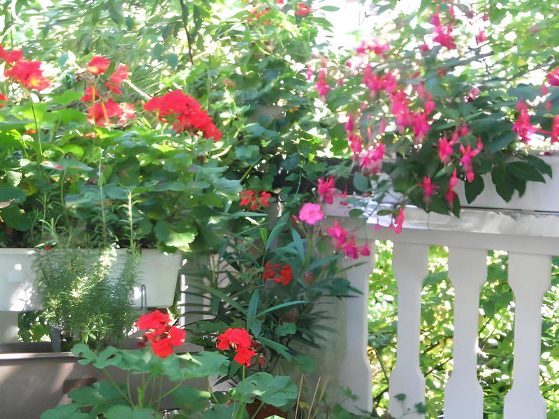 5EFB9E293E3F96FCF287A4BF4F88D735