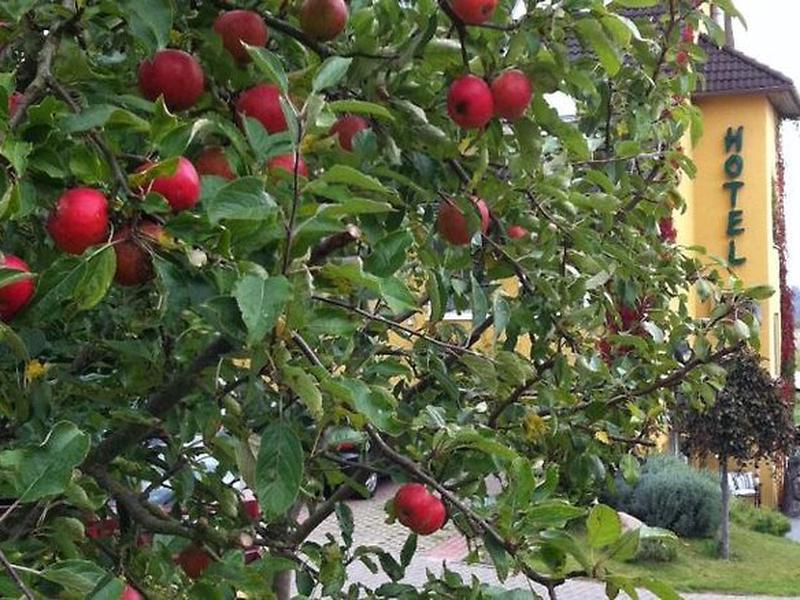 09C8F248F2D4FCD2B0008DB413CB3BD4