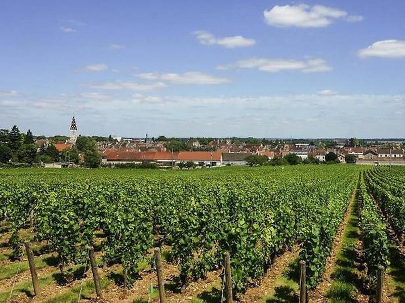 FCB725421247F2CD74CDA0E5AF2D2332