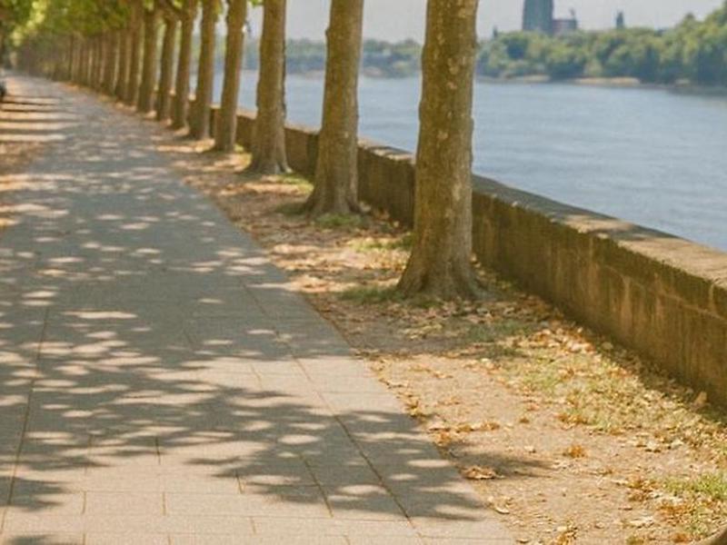 DE95BCF2D4821E6B44301095F3C7106F