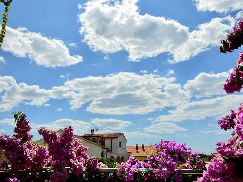 5EAED0DFADCECCFA24F6DD055E5362CE