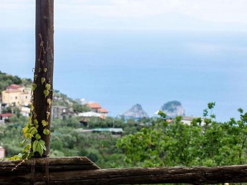 E310389B6FD80BC73027E81FE28BE962