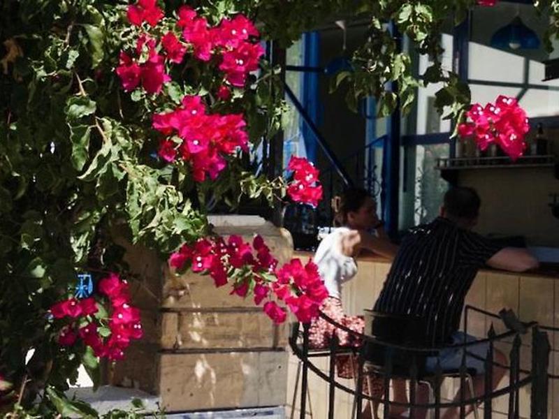 F9DA29B9495F6C59170B2C7CA9F41C0F