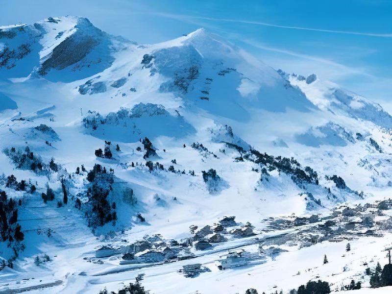 50E3378202A43B1339E91FFCEDD01581