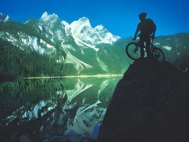 BA6E888E7C1384E83E241898D0485987