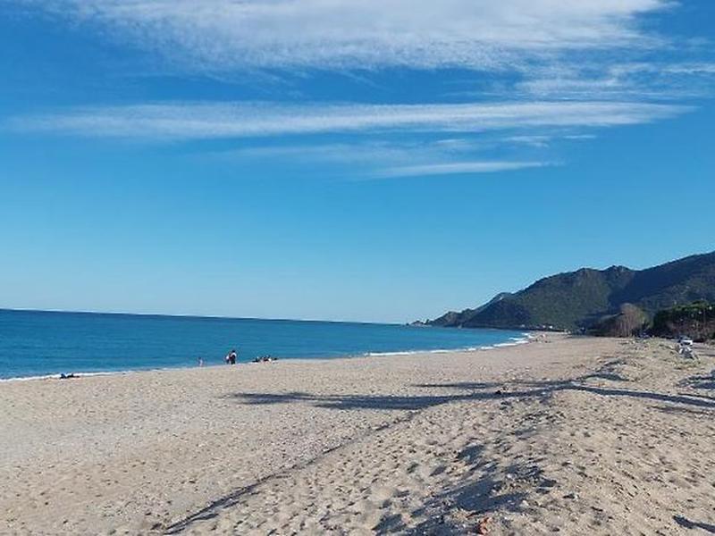 237E25DB15524C0A497A80A985592FFE