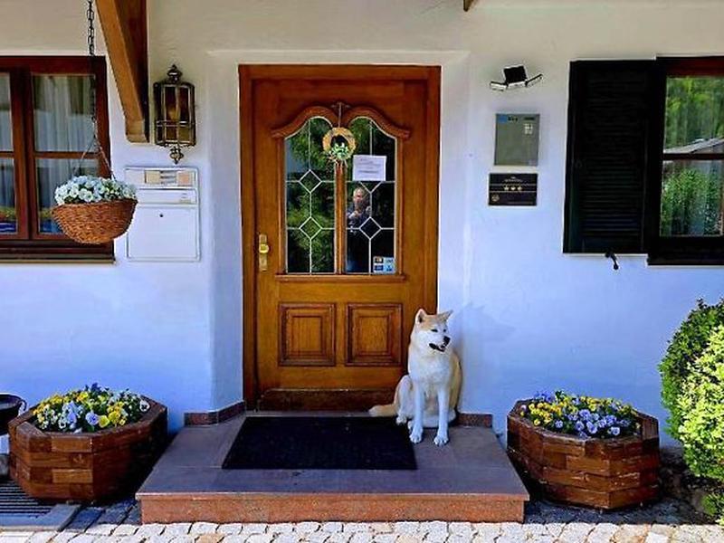 300E6A133D045768BEF74F123B97F8FA