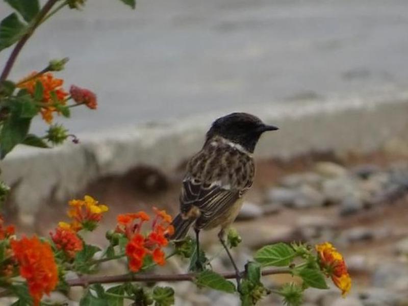 0C42DE26EA8CD59B5BEF607C5923FC3F