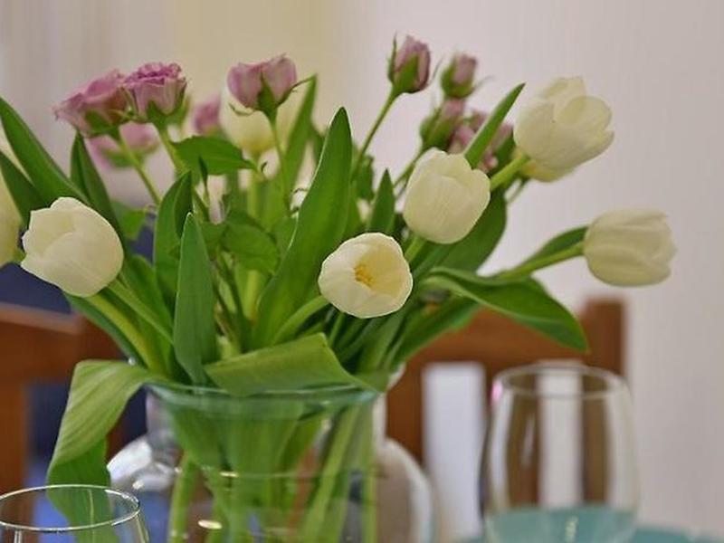 370FCAE0C16D2B34E7682528690C8EAD