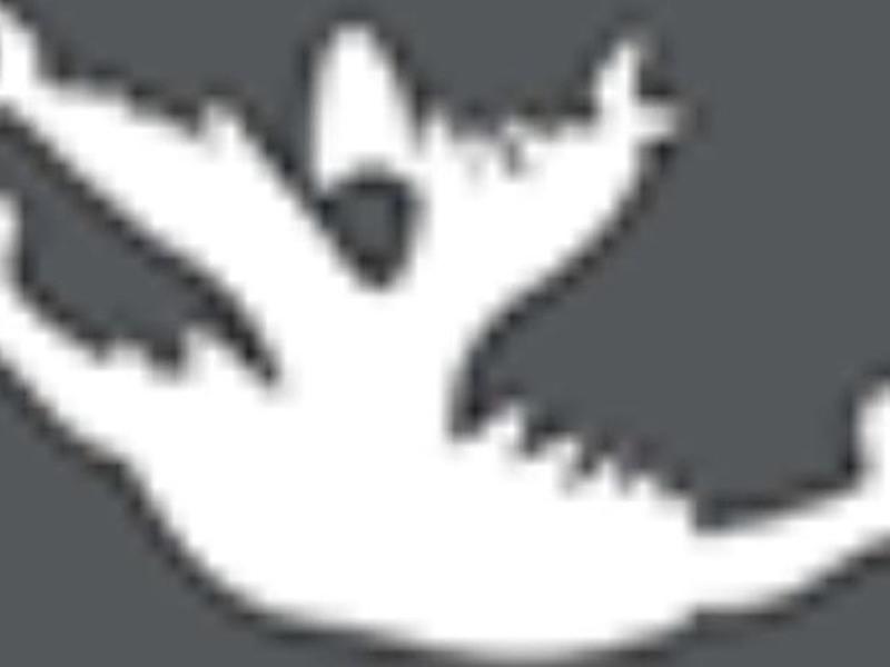 13E53C2B5B6E7DC3D459B5240B007CDD