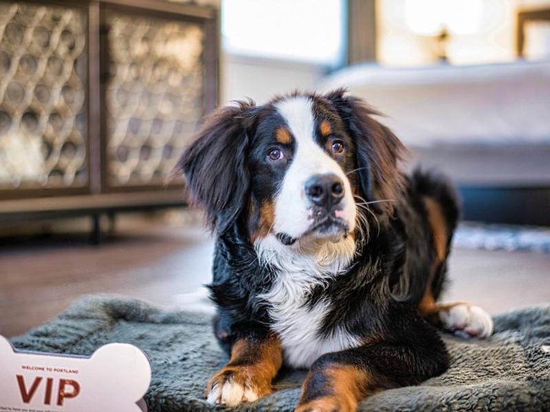 28EC53214937C41D782F82954FCA4999