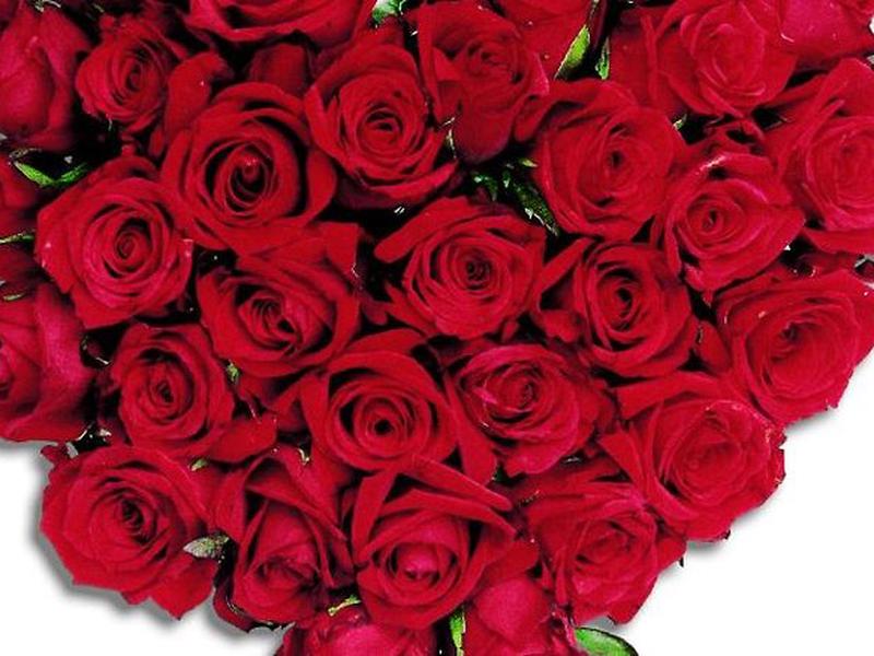 B66F3E4A34AAAD5881F073174E27E483