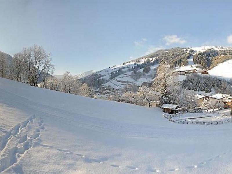 5FB7FF026DB5938FED9084AA5A0A5AD0