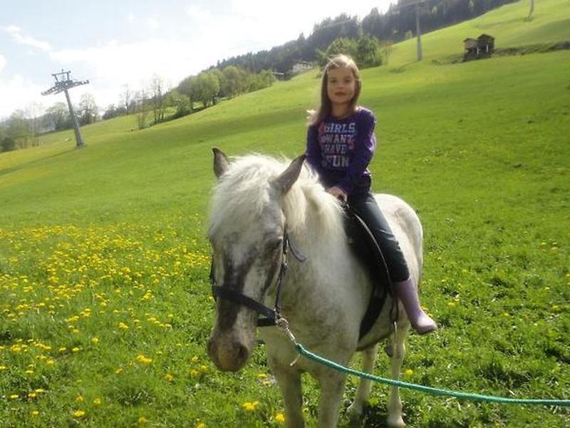 4BDD4541505CBB94C5F98C40AF0AFD25