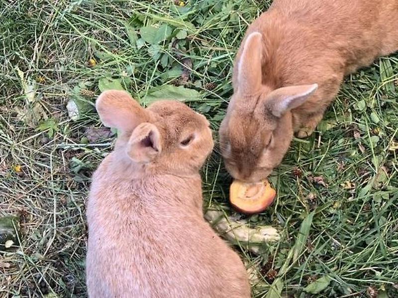 47A114FD3EFB4DCA1113024CCE9D9C2D