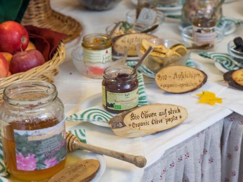 1CA7428BBFF6C807F7E384760D923A07