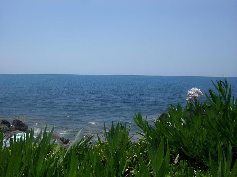 9957AF11F781369273C3FD05CB1722EF