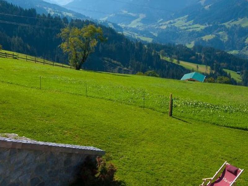 2B4DDF46AB222C788765D4FEFD8F5B8E