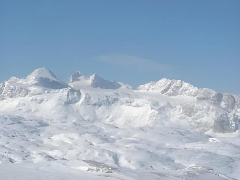 5F7F6FD45BFFF92AF9A0E810B3DD267E