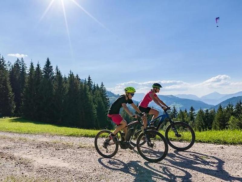 FDB2D4BFAEC1DC06B0082E916CA70ECE