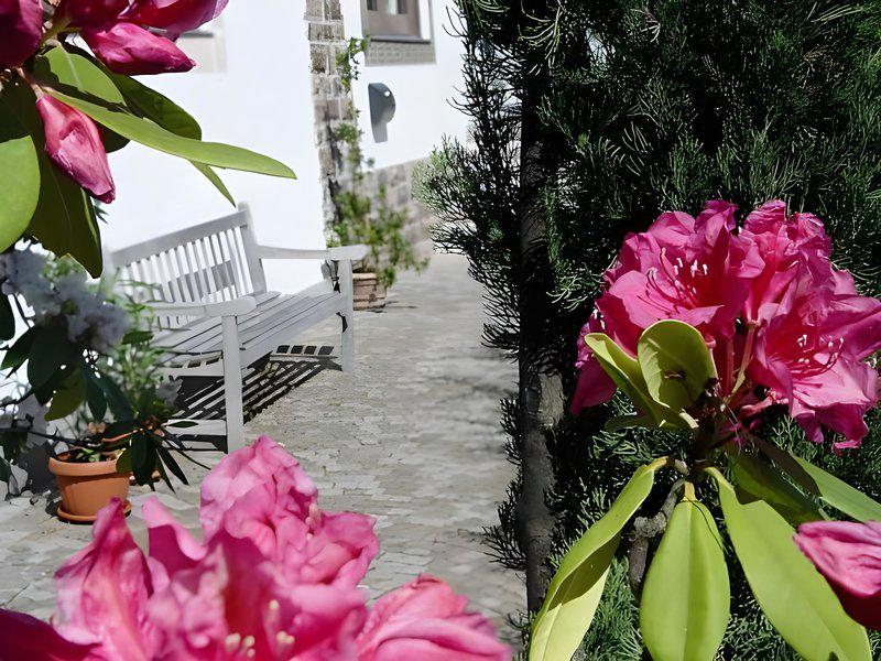 EFCAAE95FAAF24C9666962B0BDAD88C4