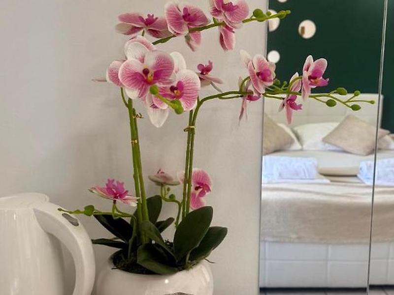 E21A215AD6EF44297C550463E3AA6A31