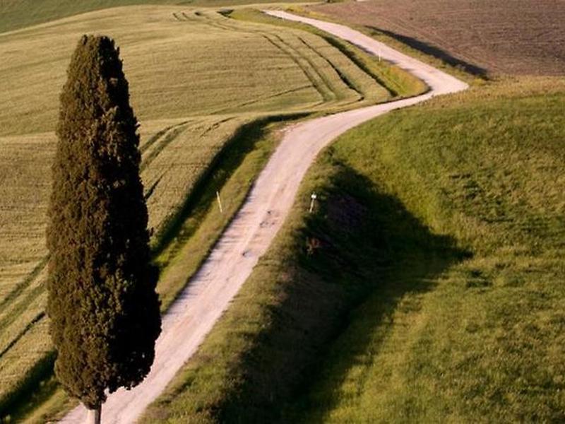 EFC1B81BBE743D0655F4EF2DB8A71A18