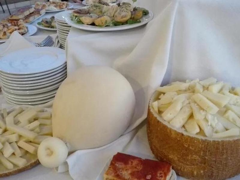 0A4AF5D945813B8669D92A5E4E9FE7F6