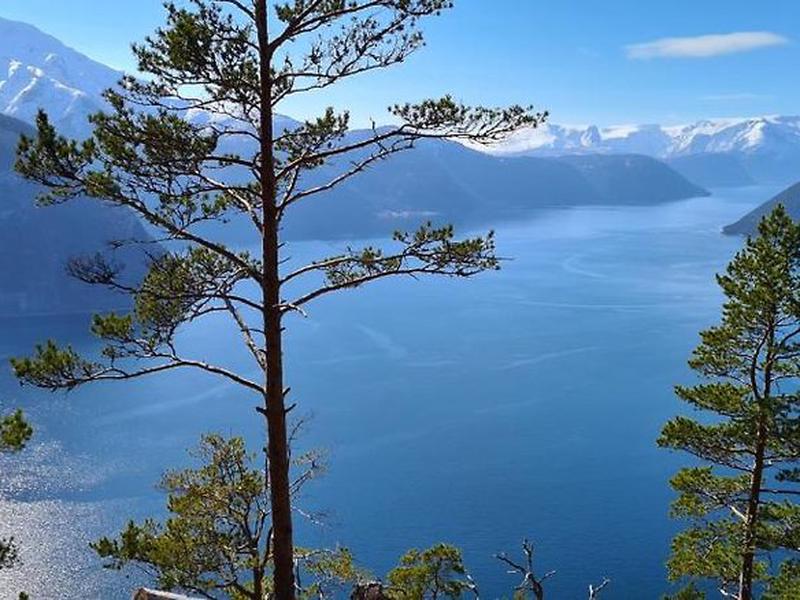 C80D56FF688AABB5981D64F7A6BA9415