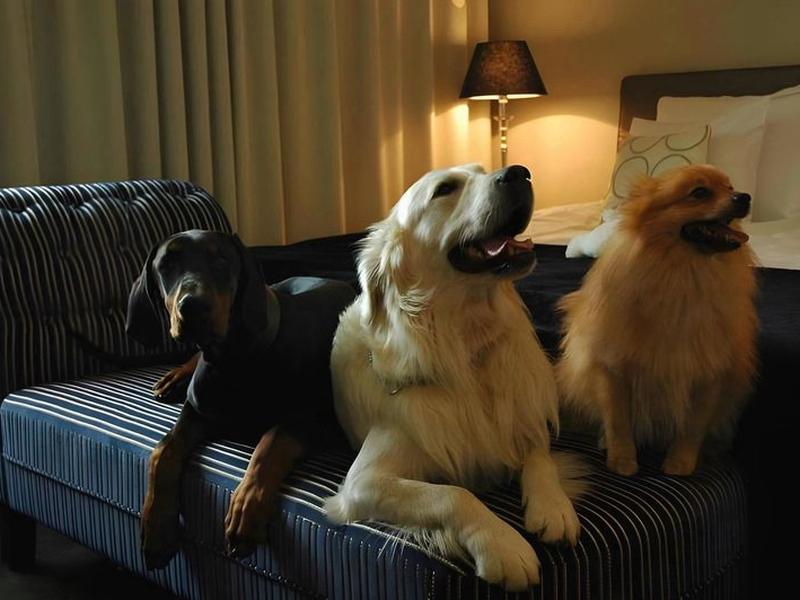 8DEB5FB6DF3FD443336ED3987C62B95A