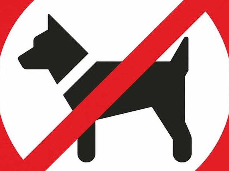 6E5CC31D303734C3C31A293122FF372E