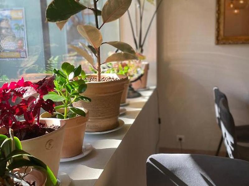 AFD6CD7D85A2829579B5097C668A1364