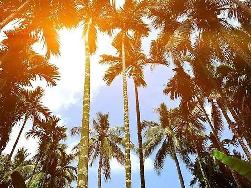 1E659716539F07E41145F44754DDC18B