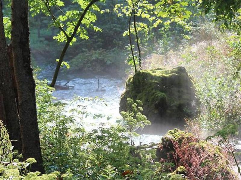 36ADAA4D17CD76A63BBFC2016321F6ED