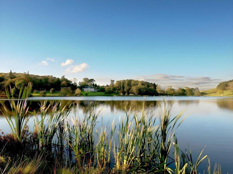 1936FD052EA39C85DC6D54976FEAA03C