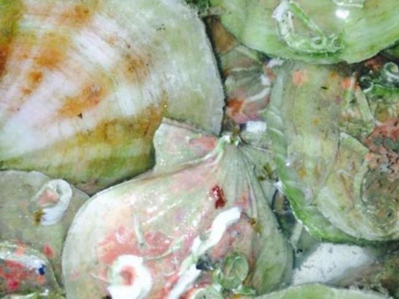 BA483DCB508C31C8A49545C273BB12D2