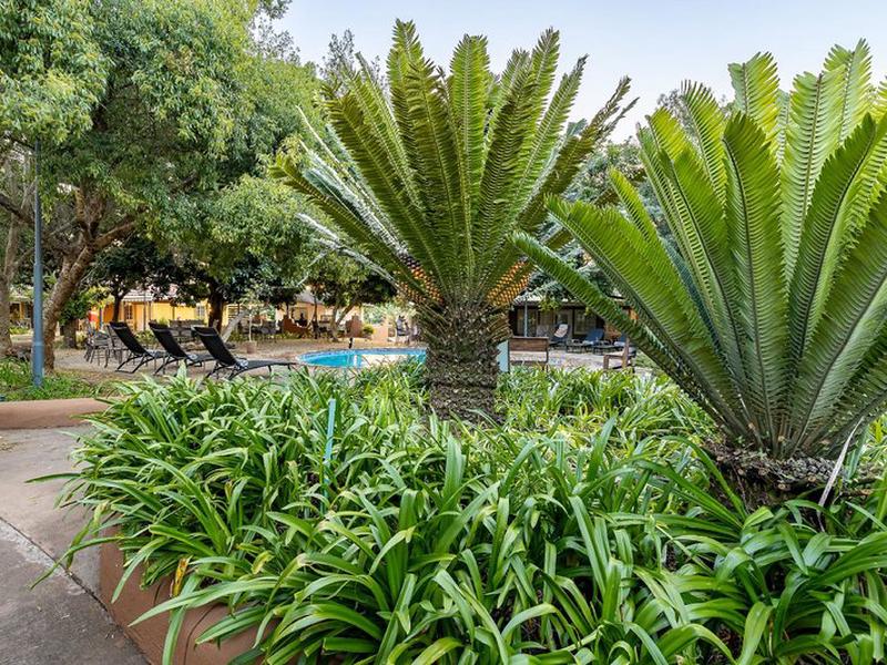 CAD121BCCD491FB76AB210FCAC7DDBF6