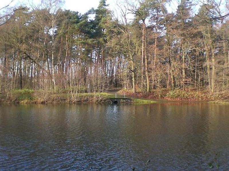 5D99E12F7E2B5BDB4A4BD1106C055DE9