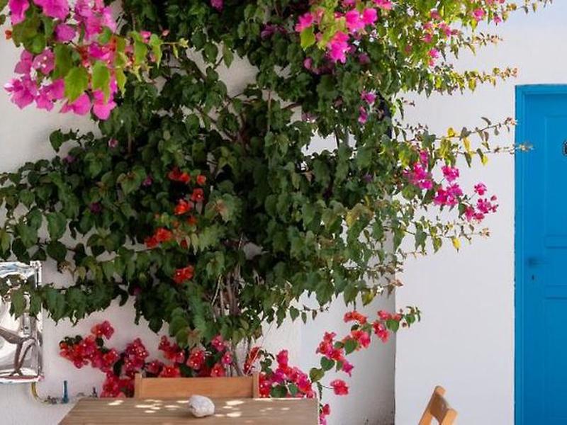 4F86B98A543FF998E2C64E170B454503