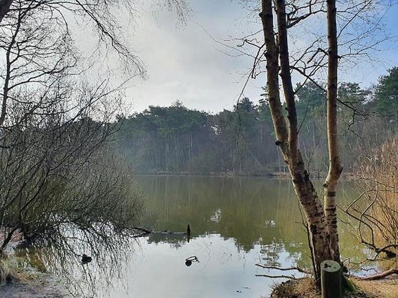 8B03046614D0A1A1ABA417546067BC74