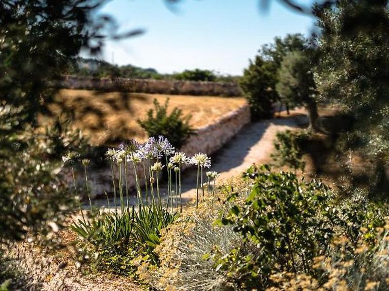 9539C9AFEFB04EB65119B52913F15D5F