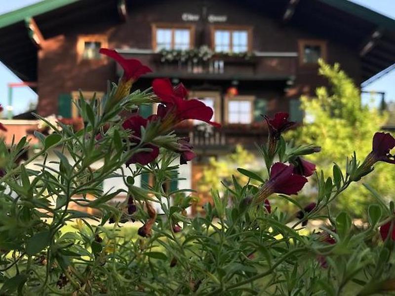 D2281806E17C239A8FBC470C4B0C8641