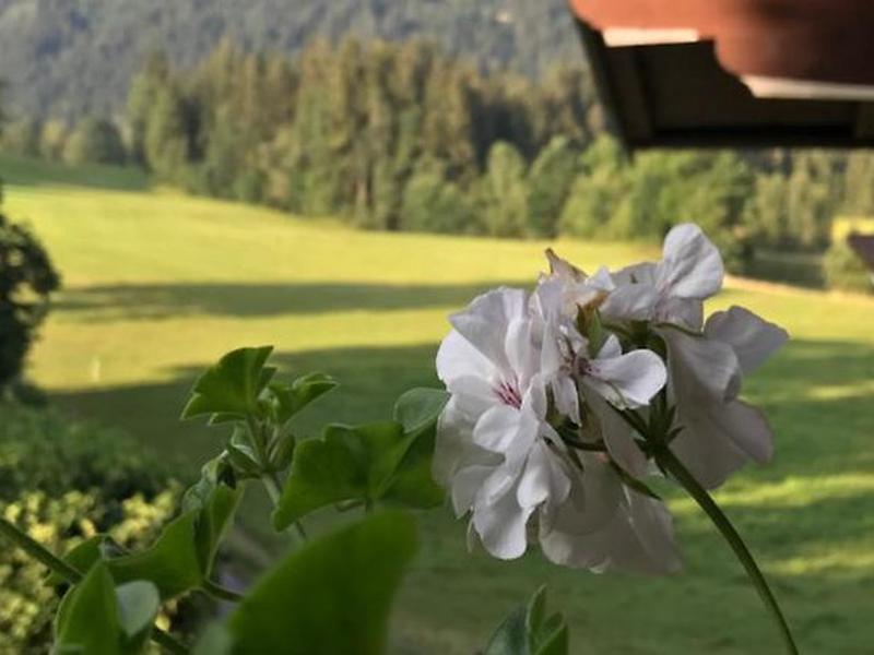 524F0D7FB1DF3C9757EA815176C76E02