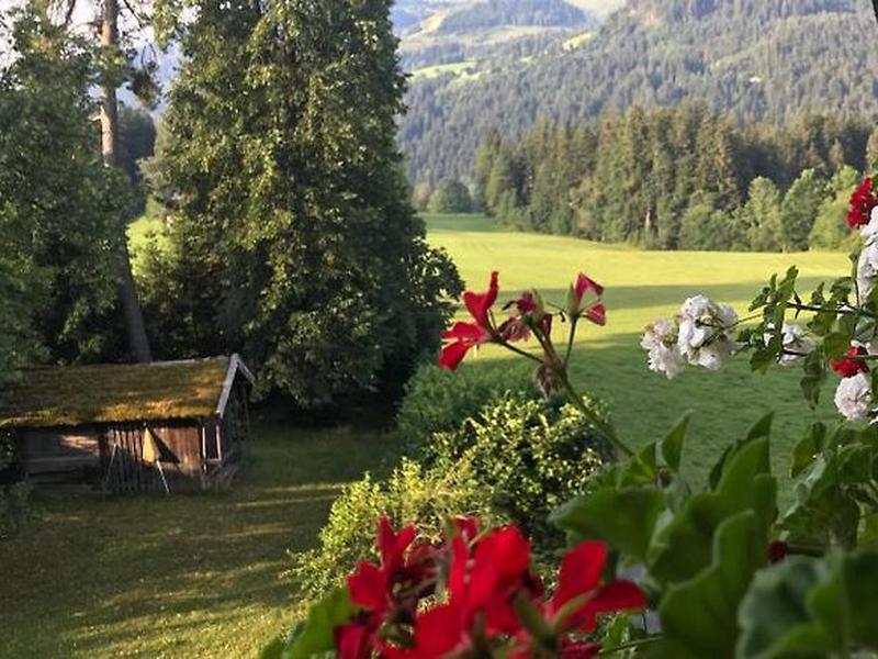 DD4BB9CE9587A3C8BCC7EFDD73805962