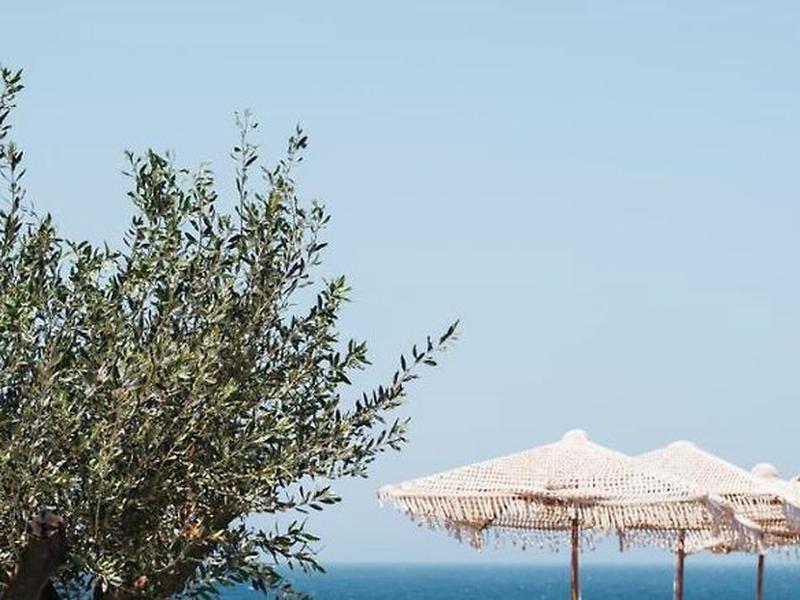 3C4FF477AA1C5B68DD82796218DF378F