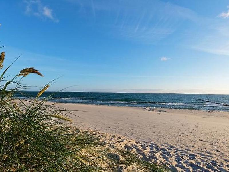 A094B59D713B0A4C36F58139BCE45C68