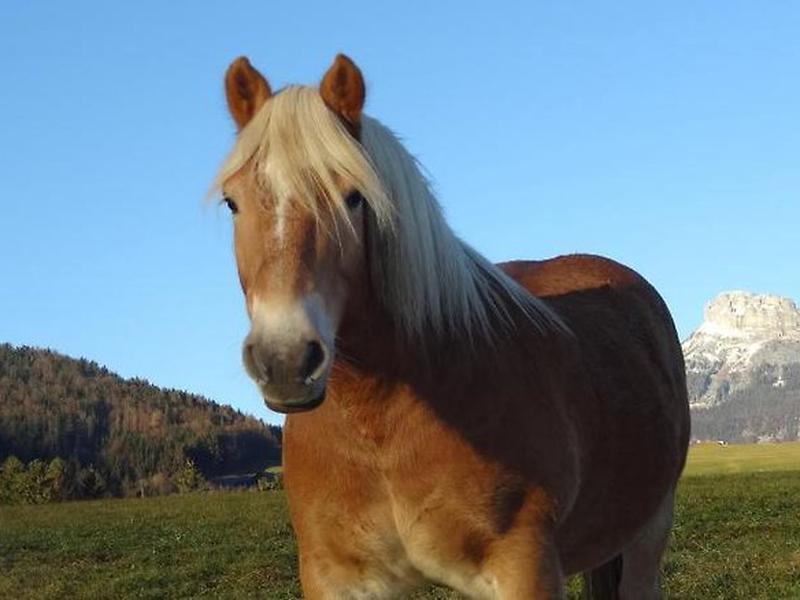 45D1DAC54DDA73775705EA7D0D0A9DA3