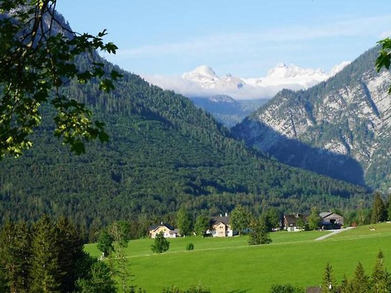 242B8832F4C85E2C0C543B91824F1542