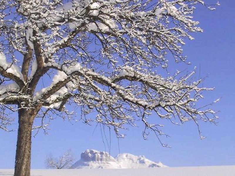 CF4F4B1D2B2A855FB1A7A22B64C8317E